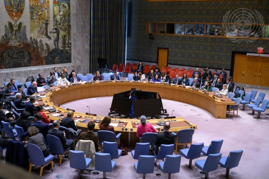 United Nations Security Council, November 14, 2025